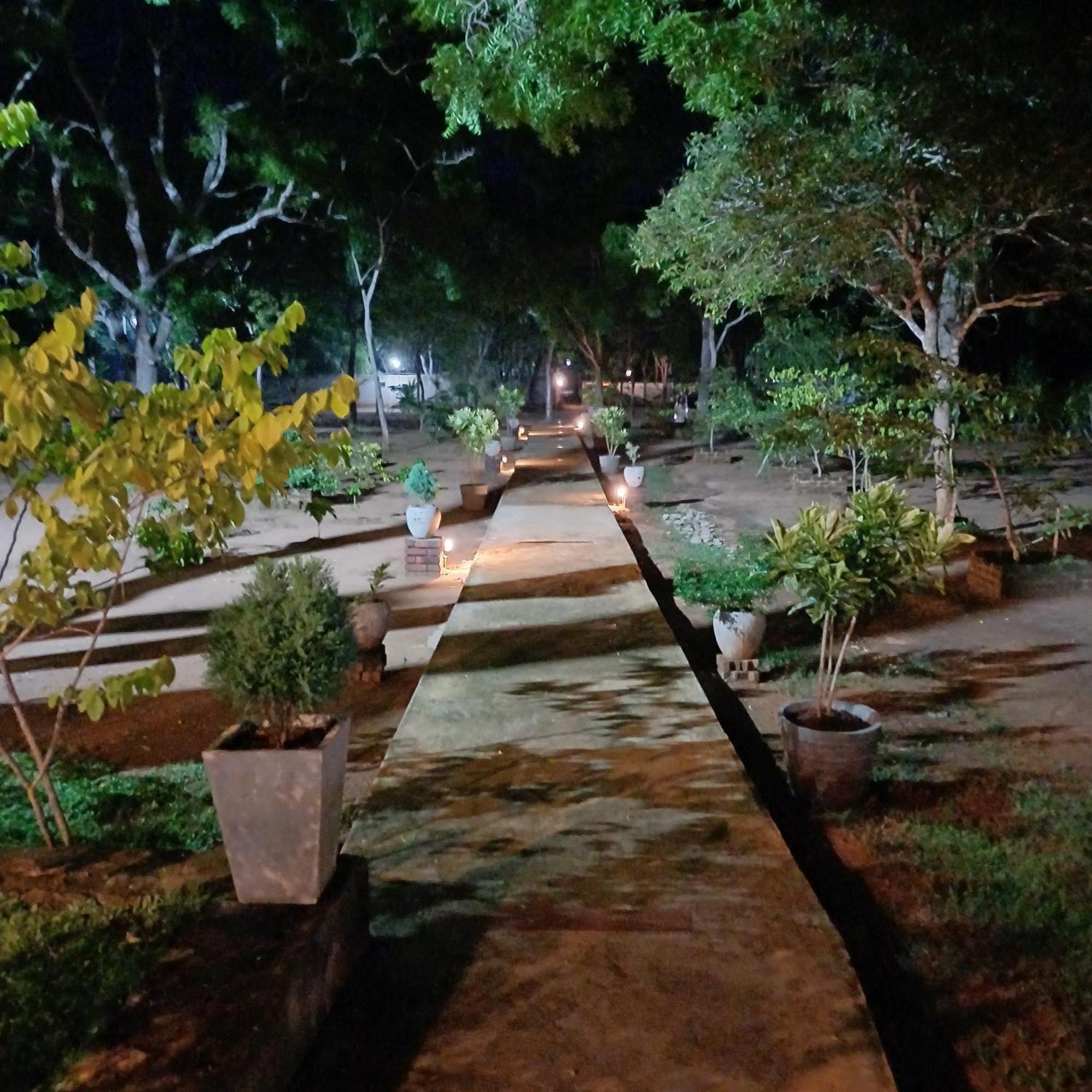 Forest Edge Villa อนุราธปุระ ภายนอก รูปภาพ